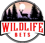 WildLife Bets